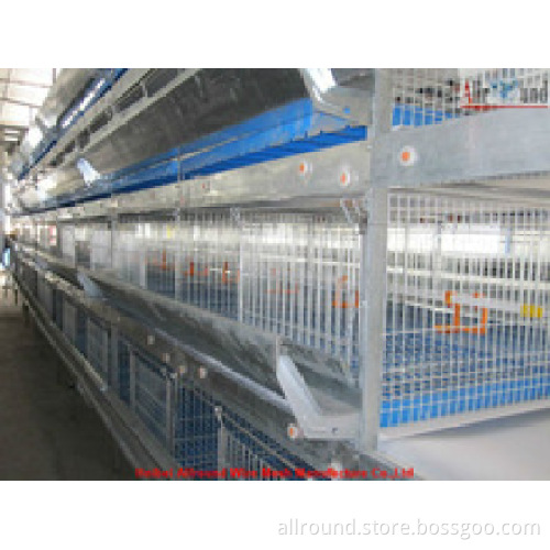 Broiler raising cage